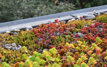 the cost of Rhydd Green green roof installation