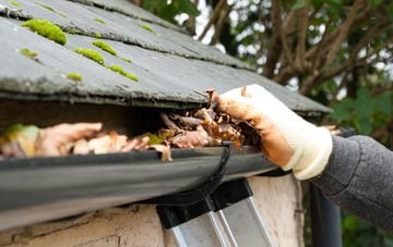 gutter cleaning Rhydd Green, Worcestershire