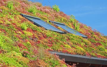 Rhydd Green living roof systems